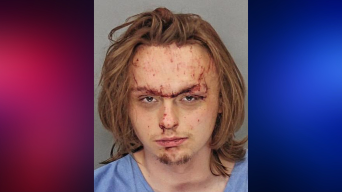 Mugshot of Jesse Davis